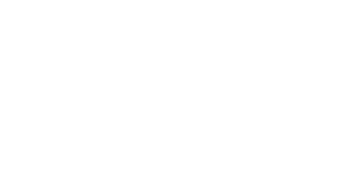 NG Data Logo