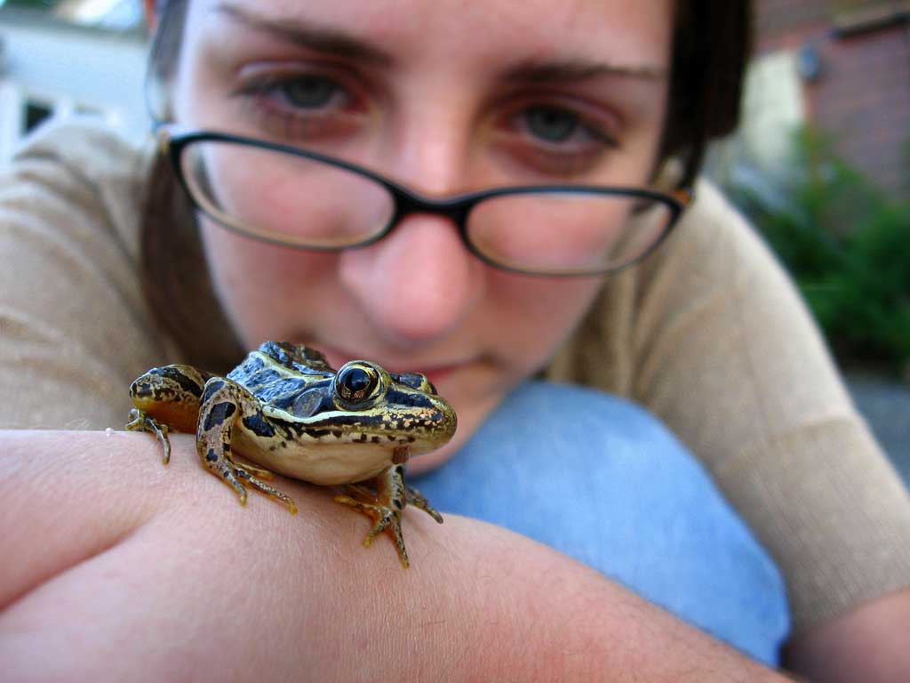 14-11-19-future-of-branding-and-cx-frog-in-hand