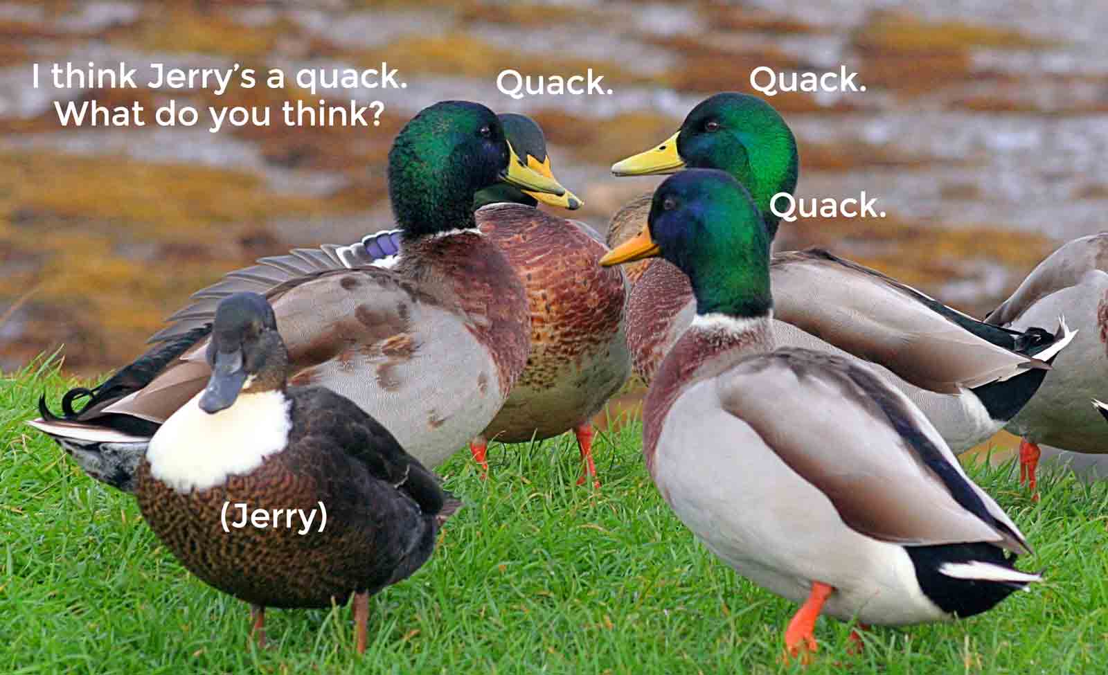 15-03-13-improve-customer-experience-with-communication-quack