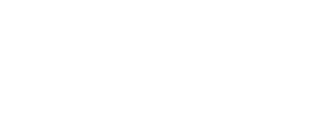 NG Data logo