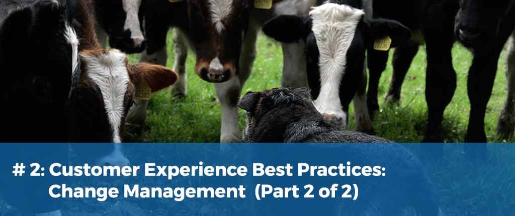 Customer Experience Best Practices: Change Management (2 of 2)