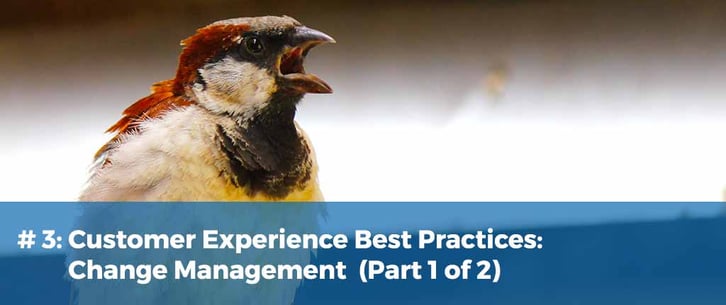 Customer Experience Best Practices: Change Management (1 of 2)