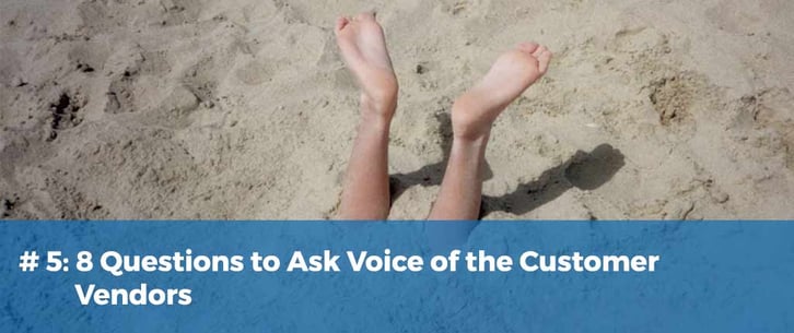 8 Questions to Ask Voice of the Customer Vendors