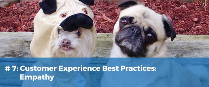 Customer Experience Best Practices: Empathy