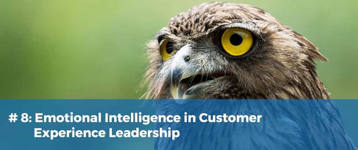 Emotional Intelligence in Customer Experience Leadership