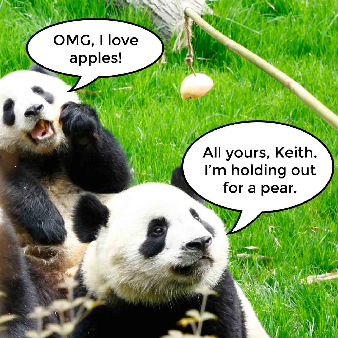 15-03-31-panda-based-customer-experience-strategy