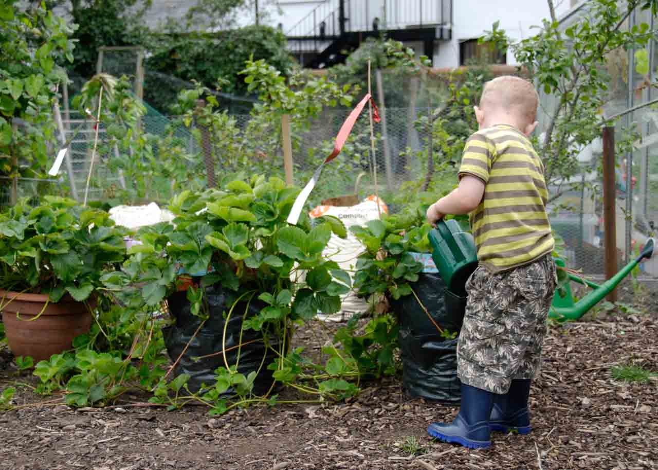 15-06-11-customer-experience-management-garden